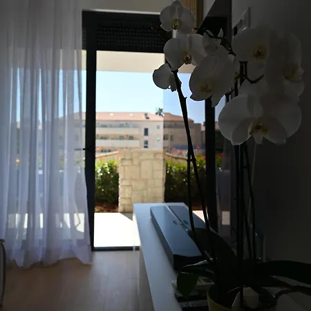 Designer Marija Apartment *
